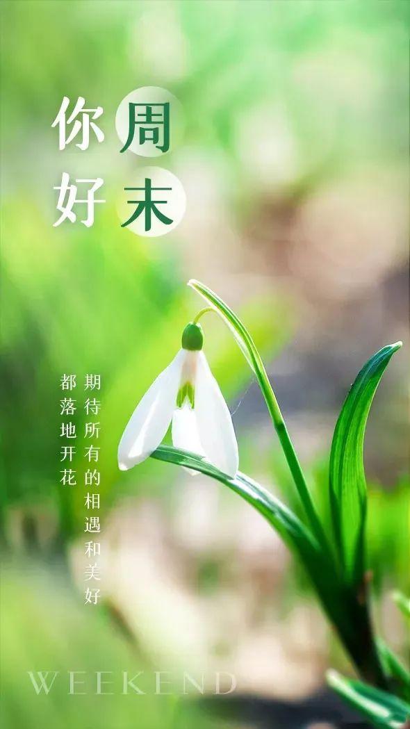 「2023.11.04」早安心语，正能量秒赞激励语录说说句子，问候图片(图22)