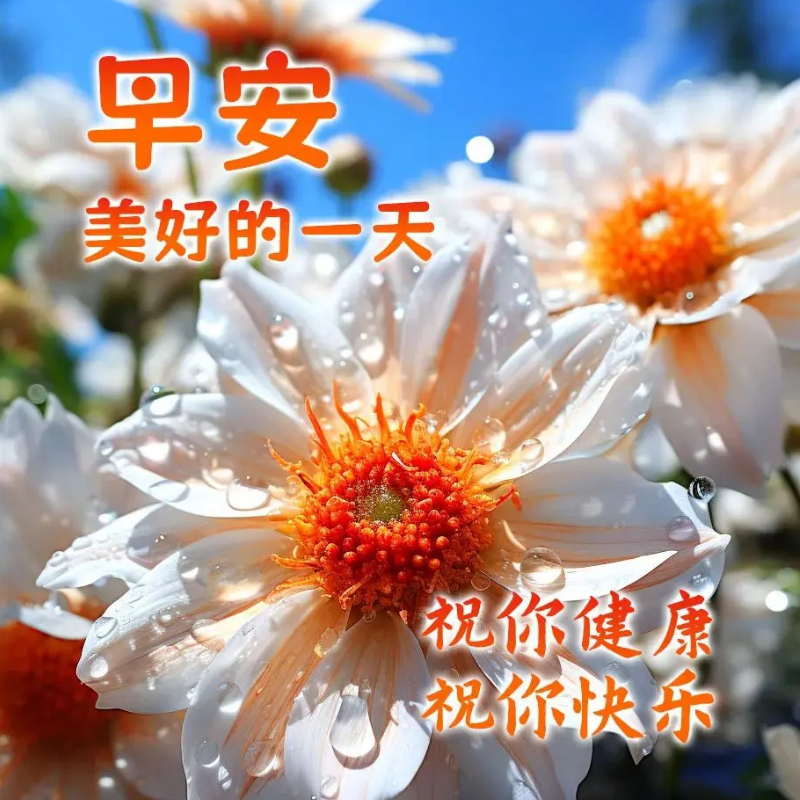 「2023.11.04」早安心语，正能量秒赞激励语录说说句子，问候图片(图28)