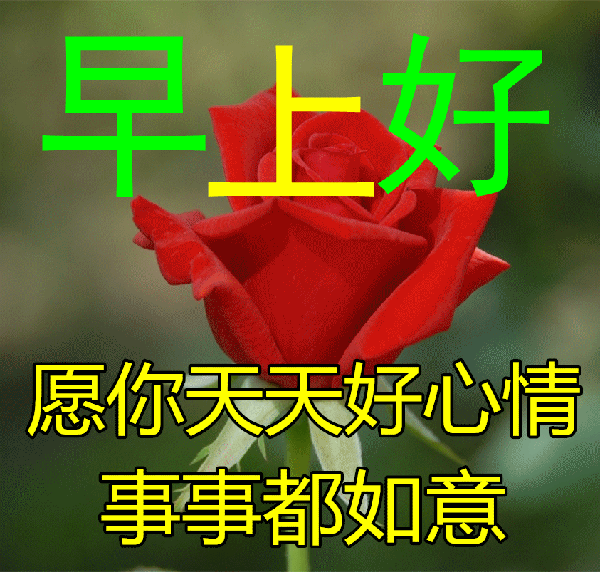 「2023.11.04」早安心语,正能量秒赞激励语录说说句子,问候图片(图59) 「2023.11.04」早安心语,正能量秒赞激励语录说说句子,问候图片(图59)