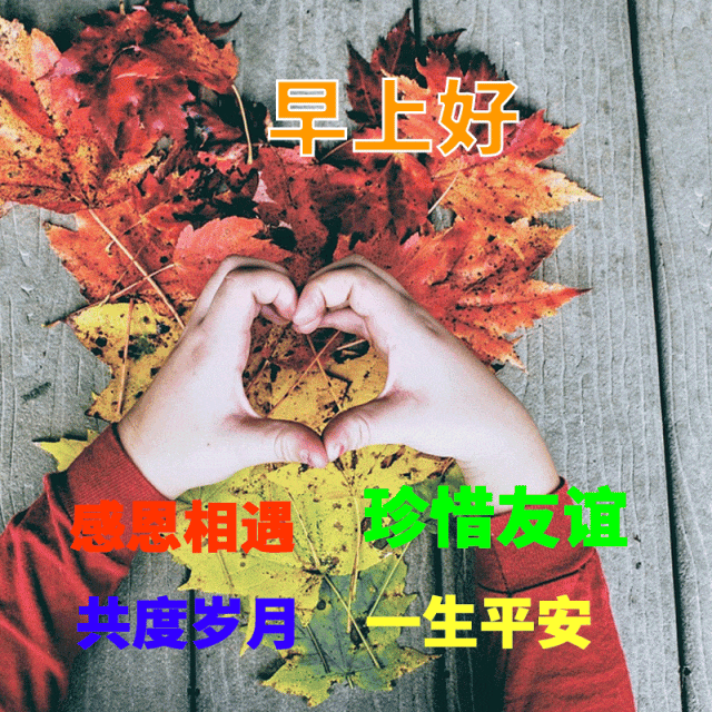 「2023.11.04」早安心语，正能量秒赞激励语录说说句子，问候图片(图60)