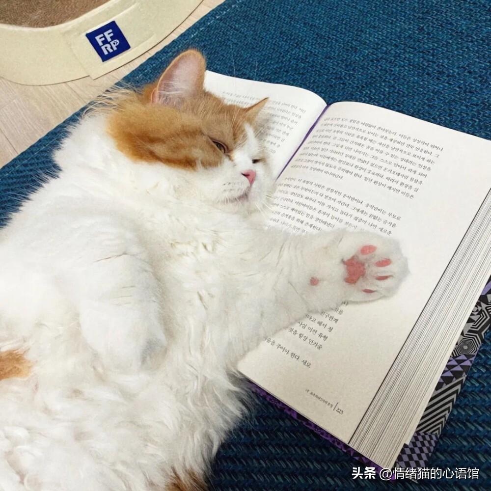 100条值得一看的搞笑幽默说说(图2)