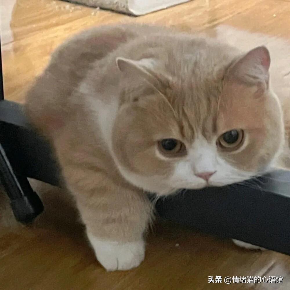 100条值得一看的搞笑幽默说说(图4)