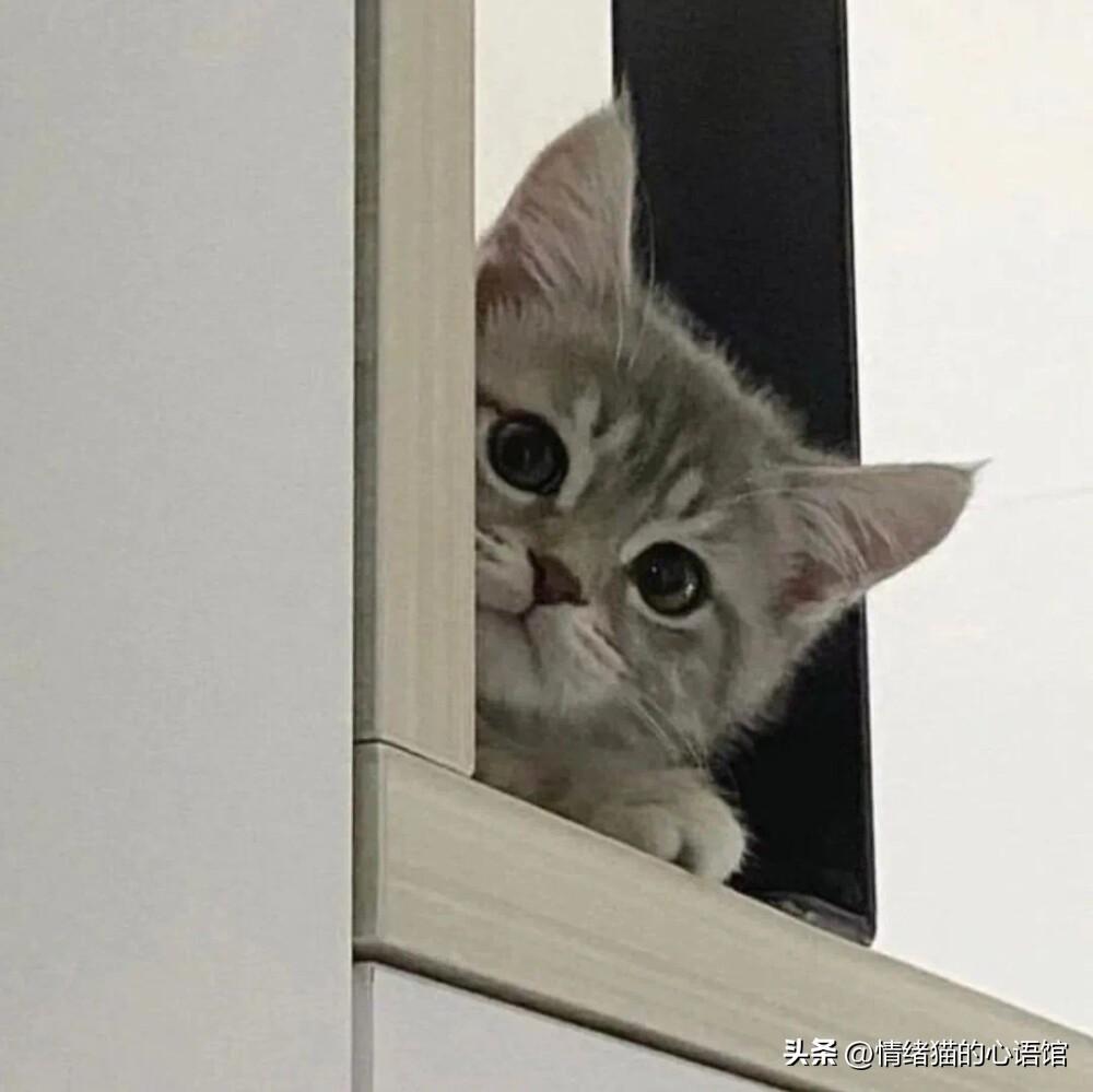 100条值得一看的搞笑幽默说说(图5)