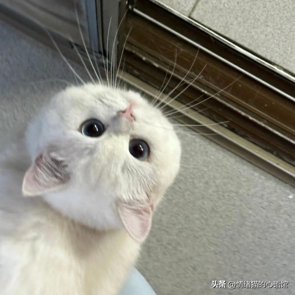 100条值得一看的搞笑幽默说说(图6)