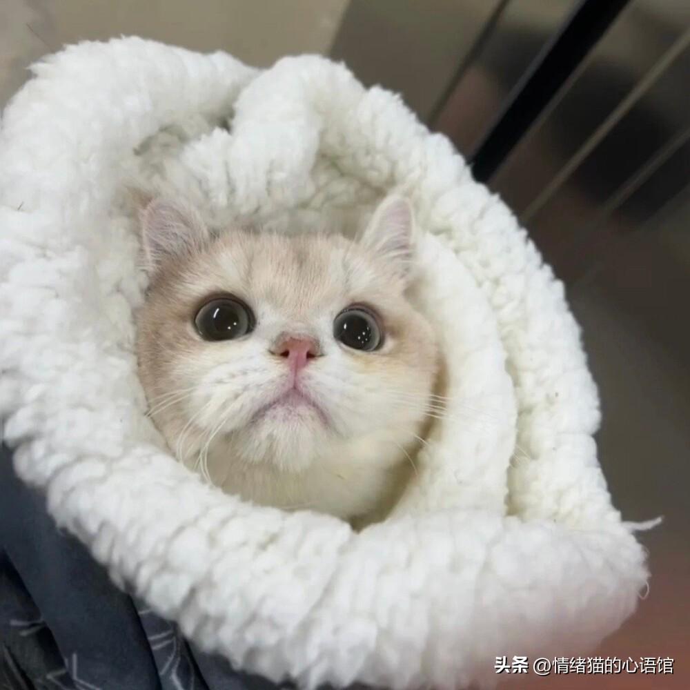 100条值得一看的搞笑幽默说说(图7)