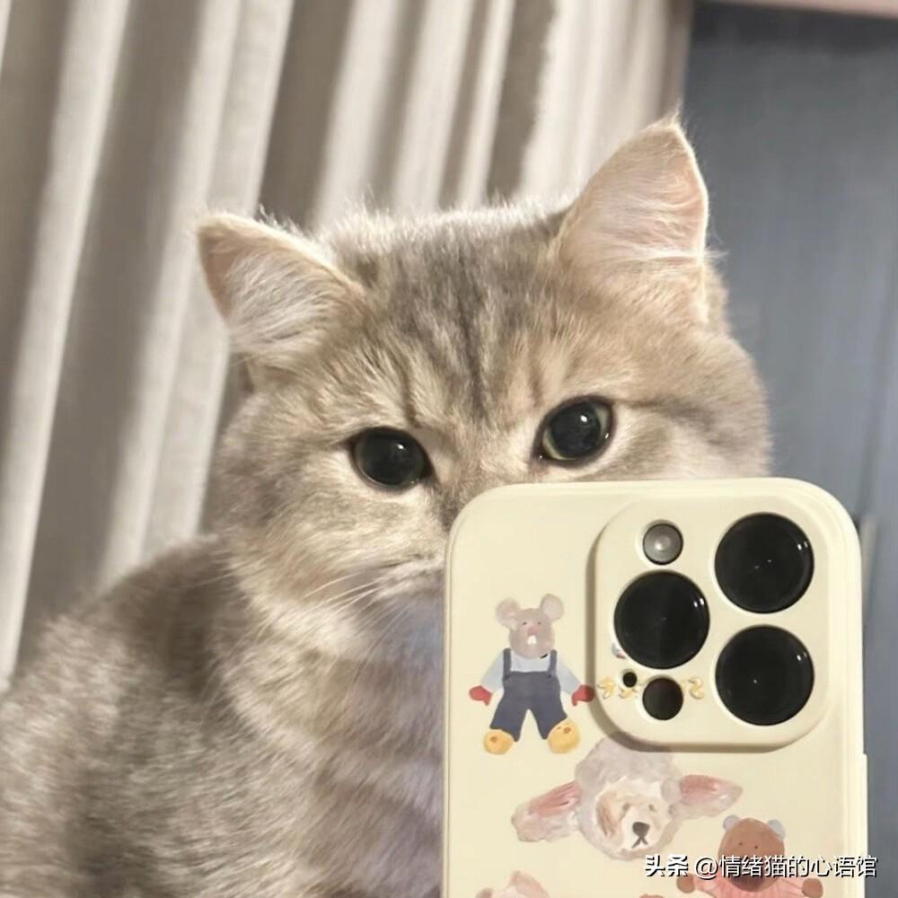 100条值得一看的搞笑幽默说说(图8)