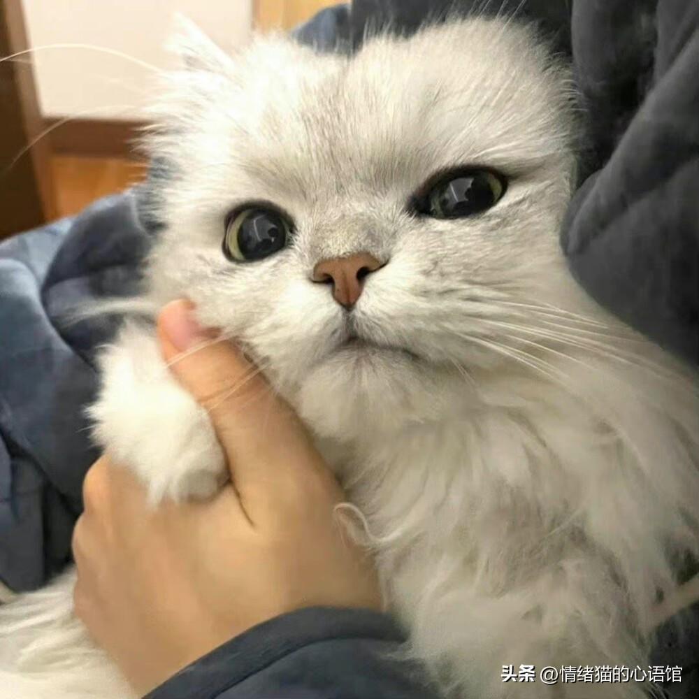 100条值得一看的搞笑幽默说说(图10)