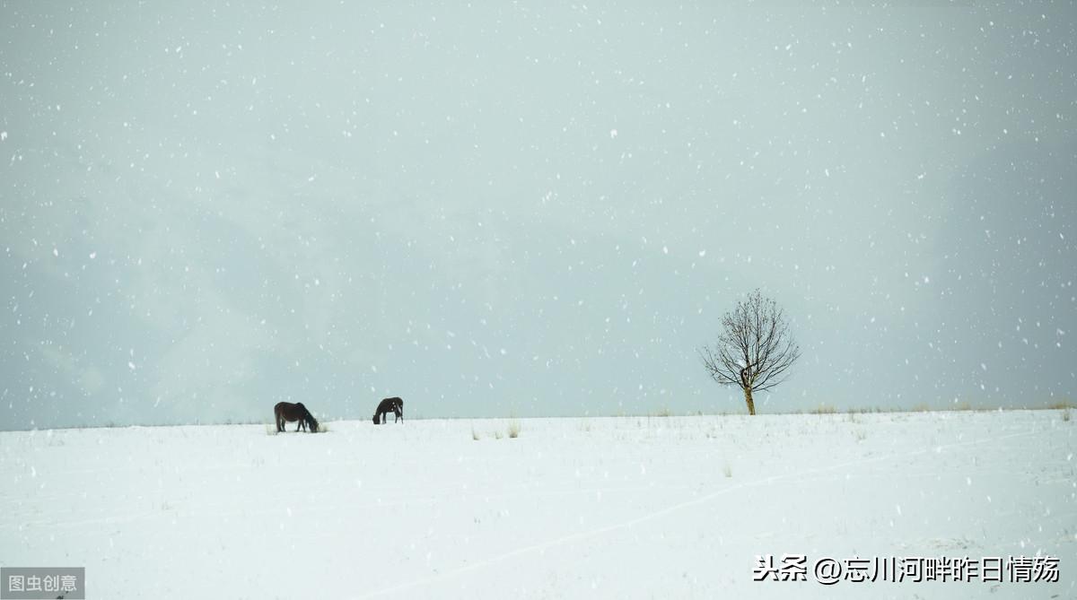 时光不老，青春不散(图4)