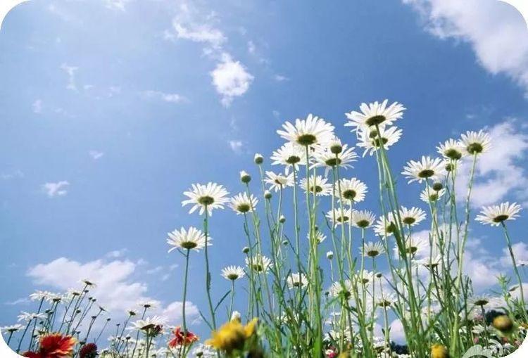 遇方便时行方便，得饶人处且饶人(图2)