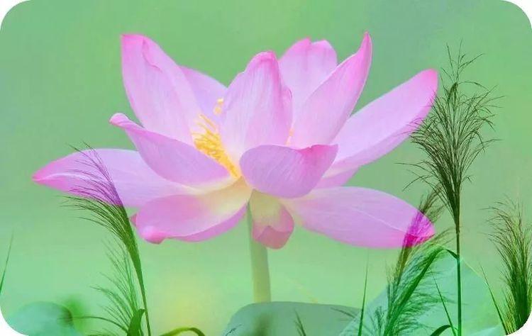 遇方便时行方便，得饶人处且饶人(图5)