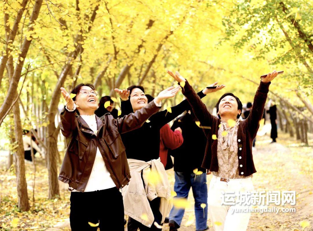 唯有银杏不负秋 如画三管任君游！(图2)