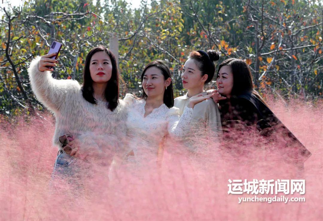 唯有银杏不负秋 如画三管任君游！(图4)