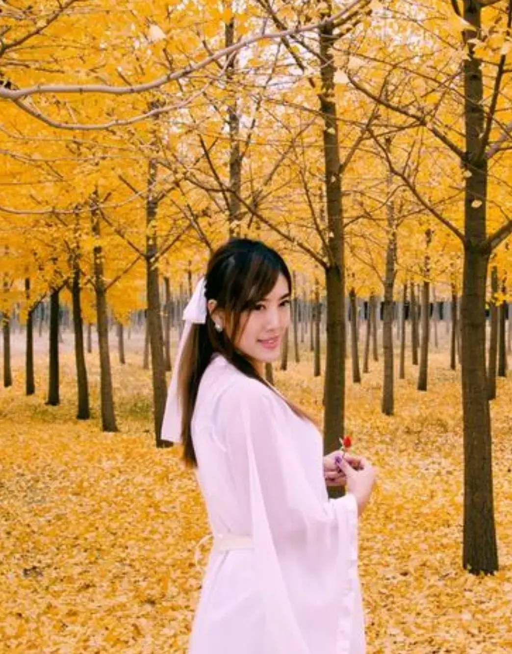 五言律诗 情满银杏(图2)