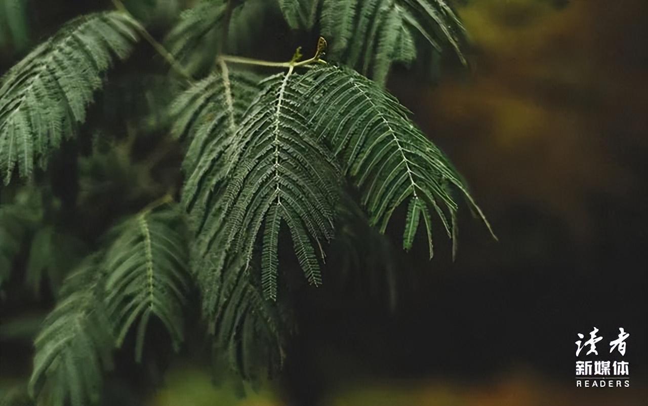 “孩子，人生实苦，但……”一位爸爸写给青春期女儿的8句话，句句在理，专治叛逆(图10)