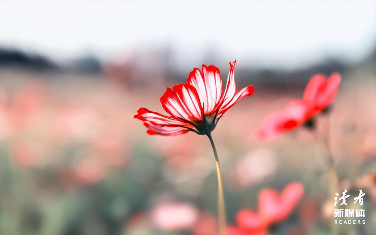 “孩子，人生实苦，但……”一位爸爸写给青春期女儿的8句话，句句在理，专治叛逆(图14)