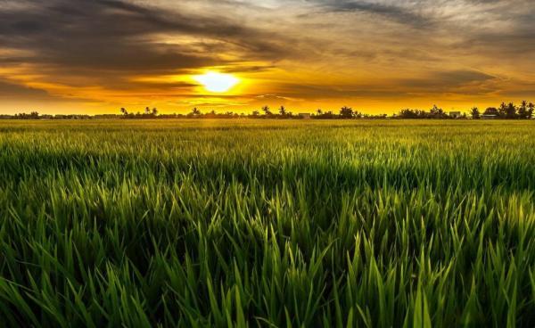 深情不及久伴，厚爱无需多言(图2)