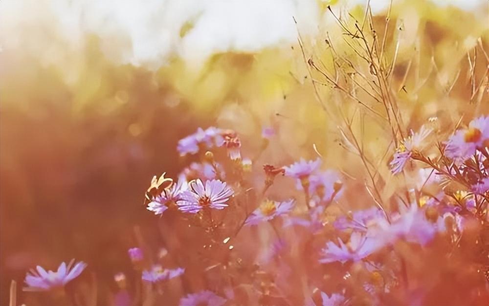 女人喝点小酒说说心情句子，让你魅力值倍增(图2)