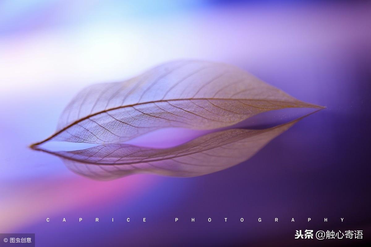 14句社会霸气说说，精辟现实，一针见血(图4)