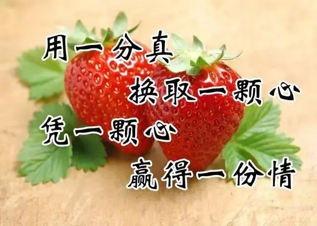 2020最精辟最火的句子，有点霸气，太经典了！(图5)