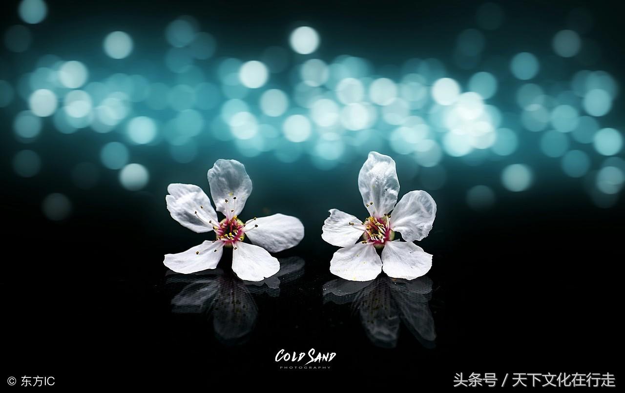 很社会的现实句子，简短走心，霸气侧漏，让人折服！(图5)