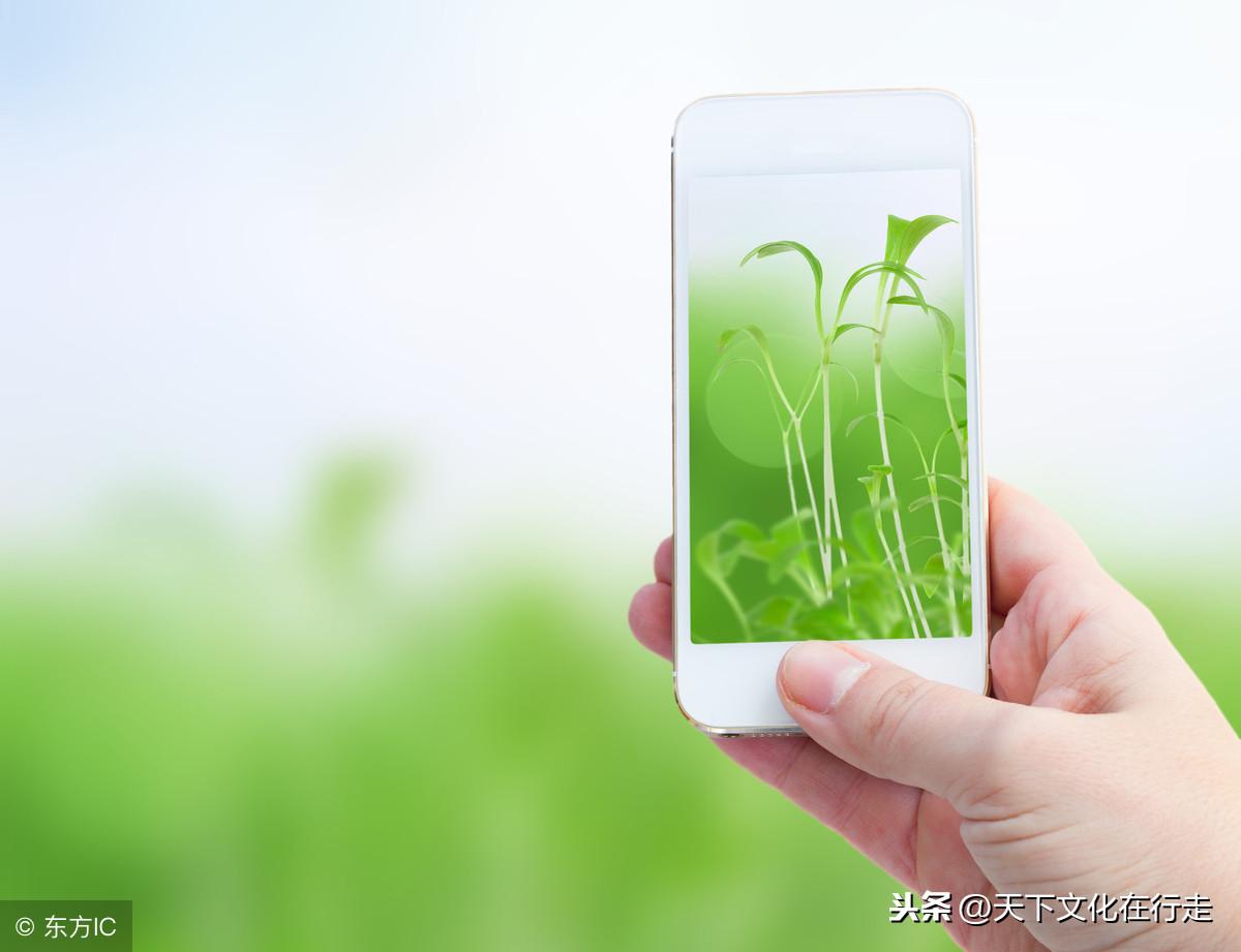 很社会的现实句子，简短走心，霸气侧漏，让人折服！(图18)