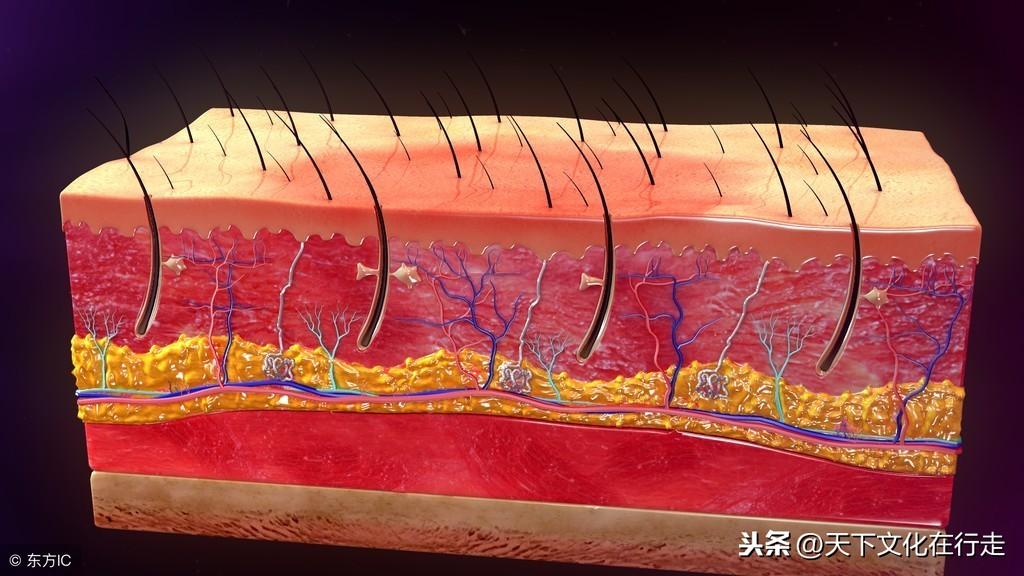 很社会的现实句子，简短走心，霸气侧漏，让人折服！(图19)