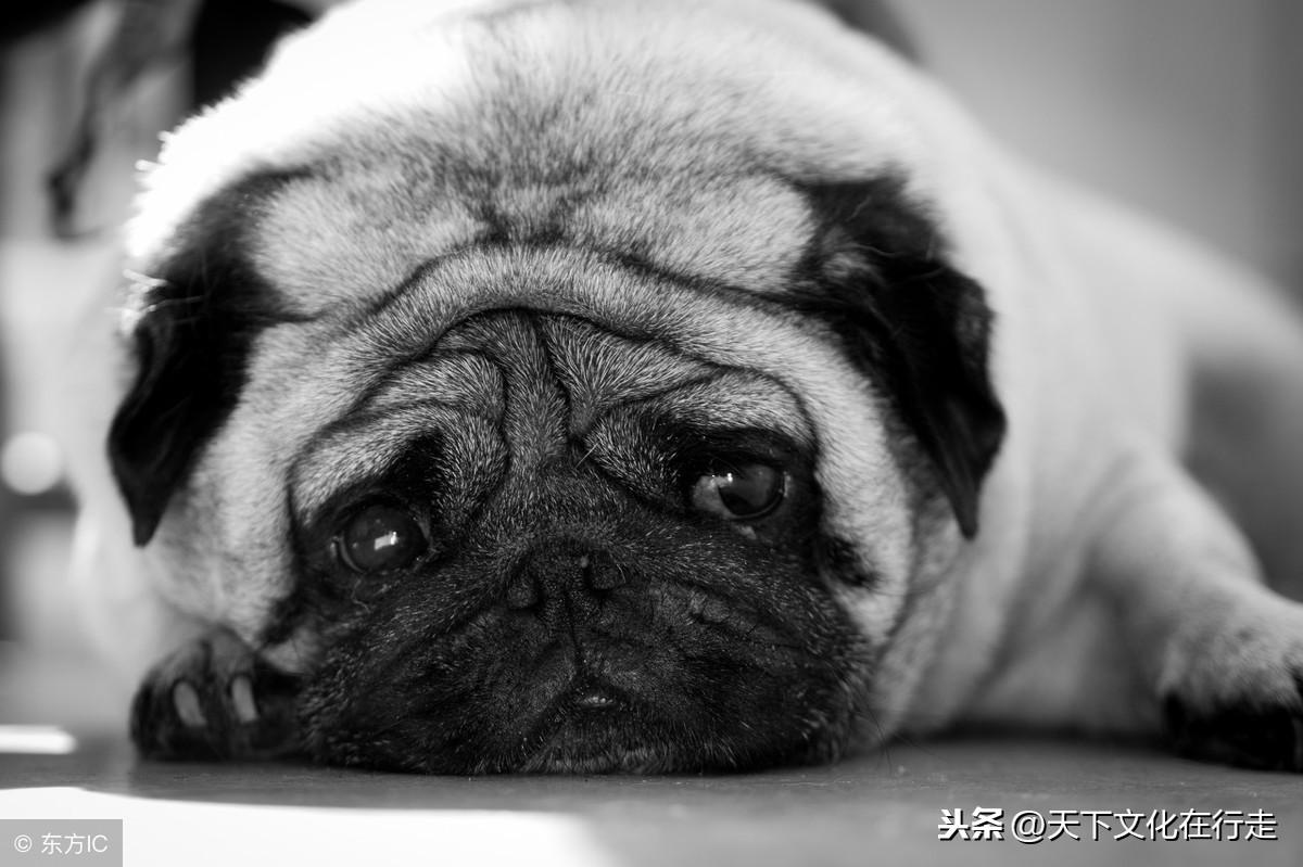 很社会的现实句子，简短走心，霸气侧漏，让人折服！(图22)