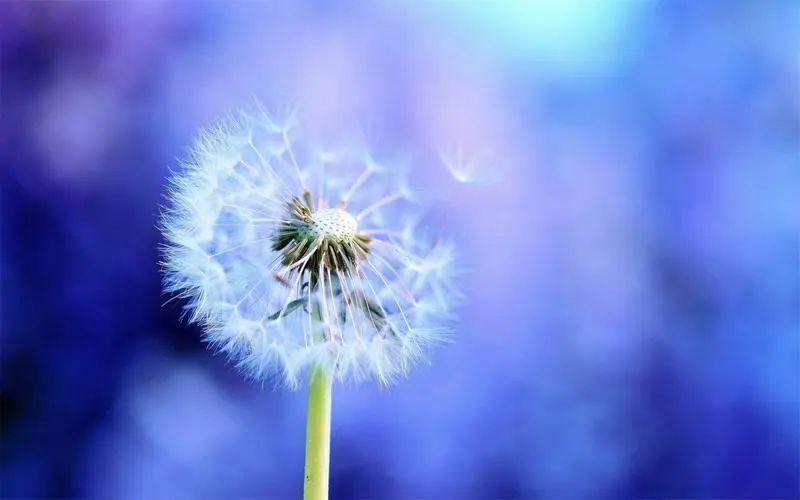 早日康复：对疾病的挑战与希望(图3)