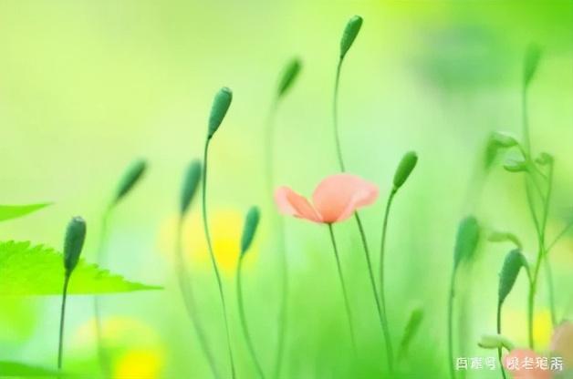 愿你早日康复(图3)