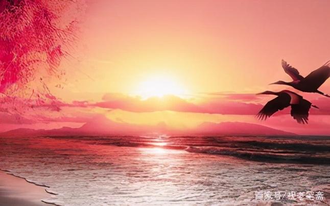 愿你早日康复(图7)