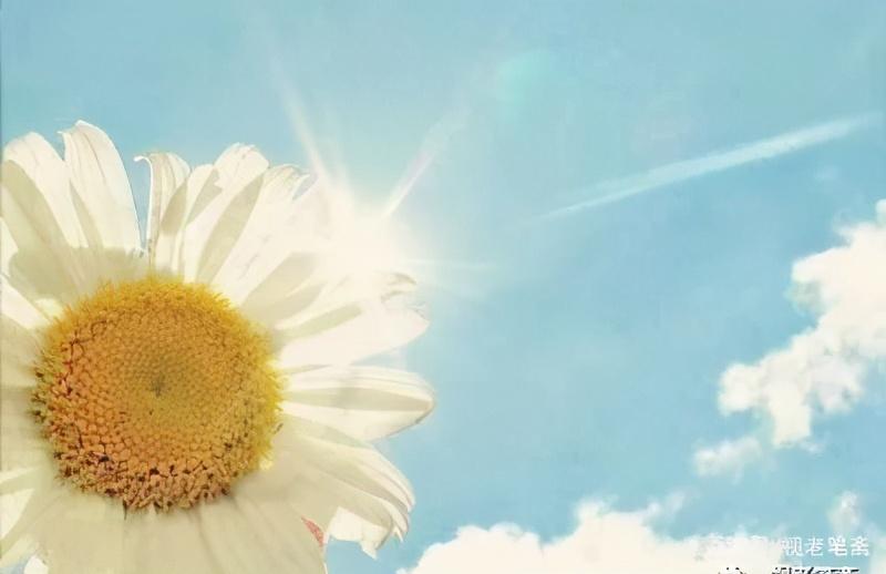 愿你早日康复(图8)