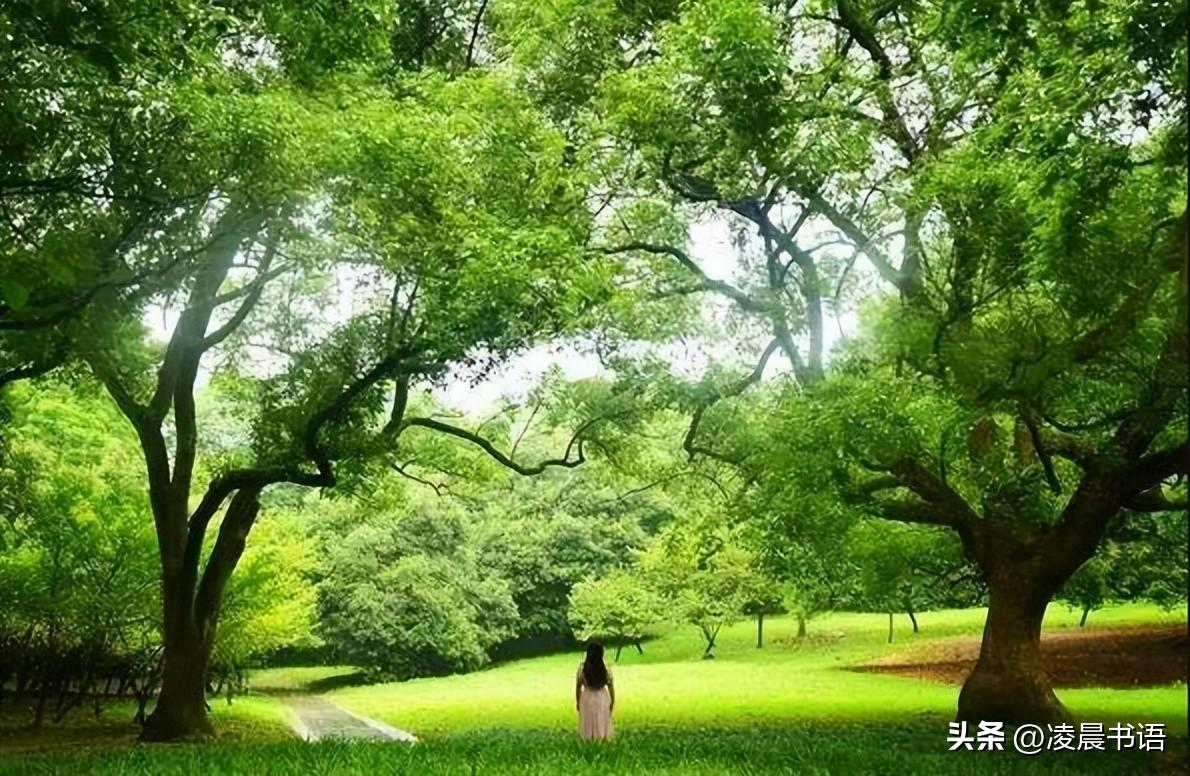 30位伟大女性的故事，且读且励志(图1)