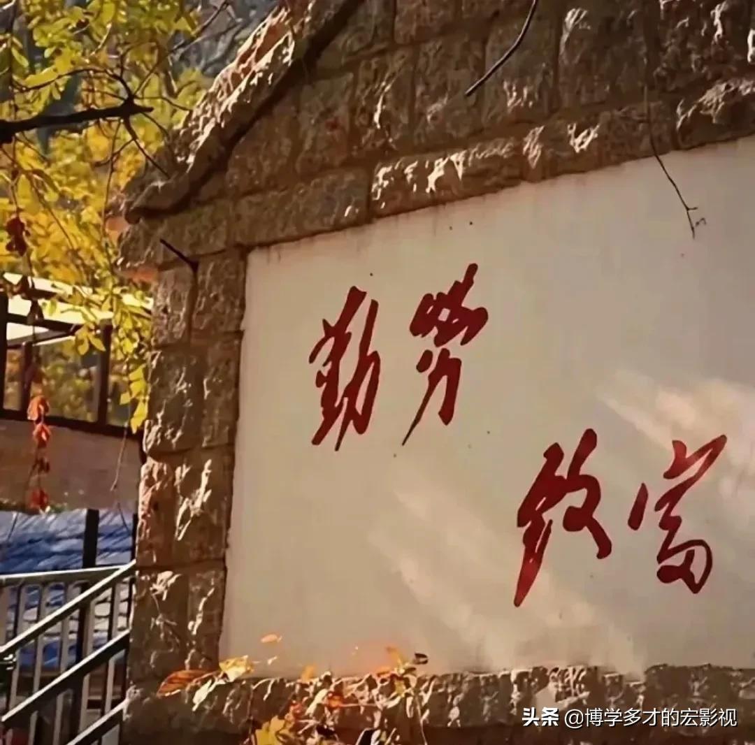 央视顶尖文案《朗读者》语录(图1)