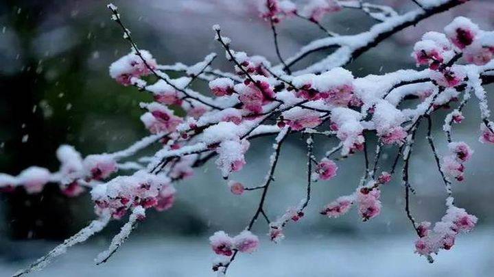 得之坦然，失之淡然，顺其自然(图1)