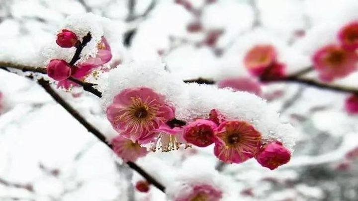 得之坦然，失之淡然，顺其自然(图4)