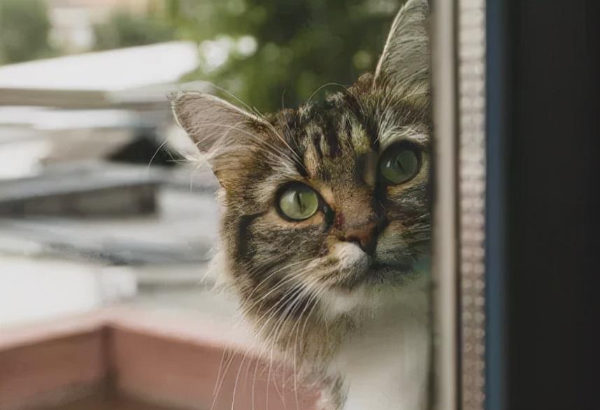 一切顺其自然，老天自有安排(图4)