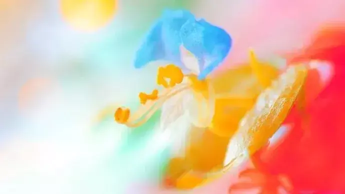 有一种心境，叫顺其自然，得也好失也好，一切都是过眼云烟(图2)