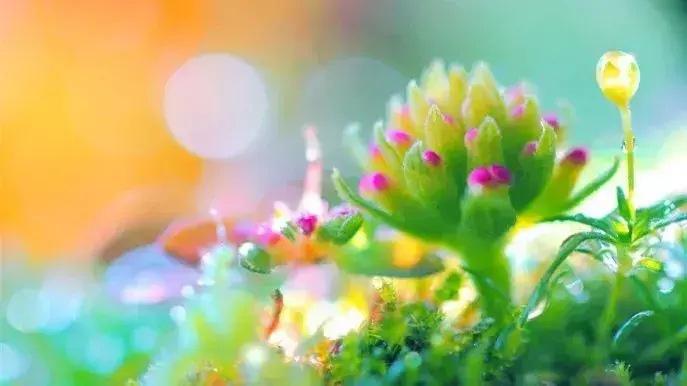 有一种心境，叫顺其自然，得也好失也好，一切都是过眼云烟(图3)