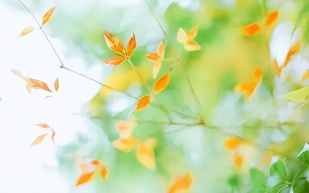 20个你从来没听过的形容蛋糕美味的句子(图2)