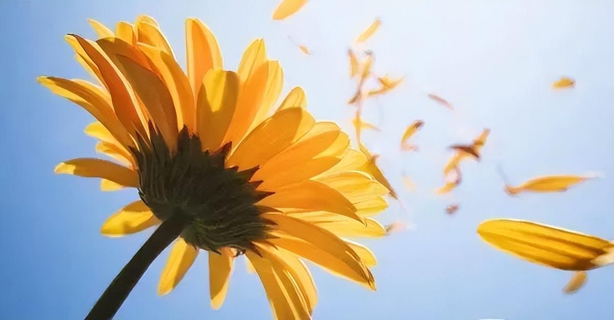 20个你从来没听过的形容蛋糕美味的句子(图4)