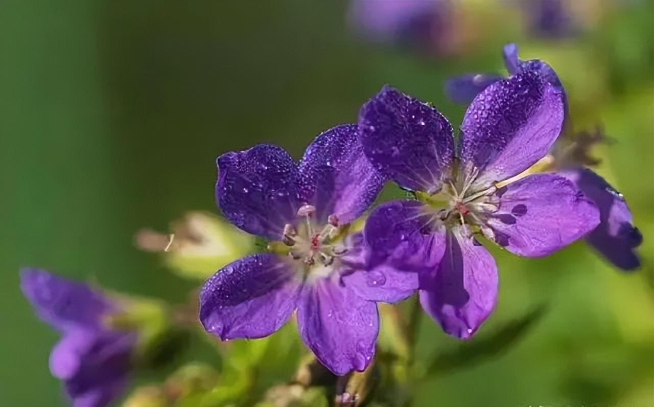 20个你从来没听过的形容蛋糕美味的句子(图6)