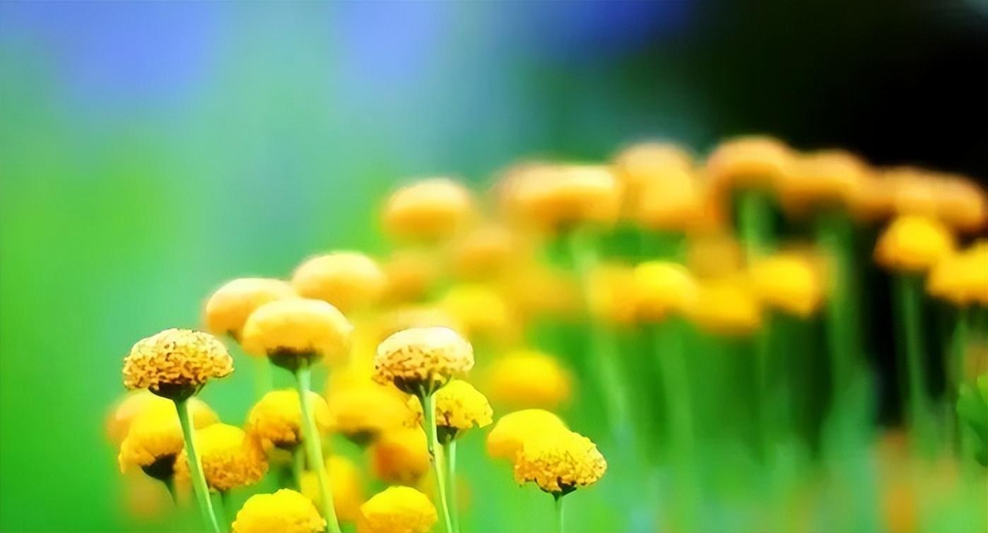 20句感动到哭的父爱，让你重新认识这个世界上最伟大的爱(图1)