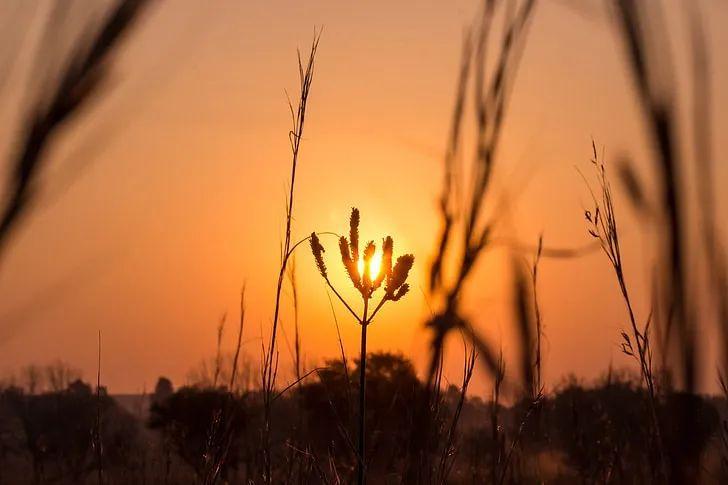 温柔不俗的黄昏落日夕阳文案：落日一点如红豆，已把相思写满天(图5)