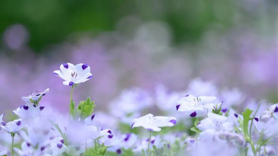 如何用20句经典的卖货用语打动消费者(图5)