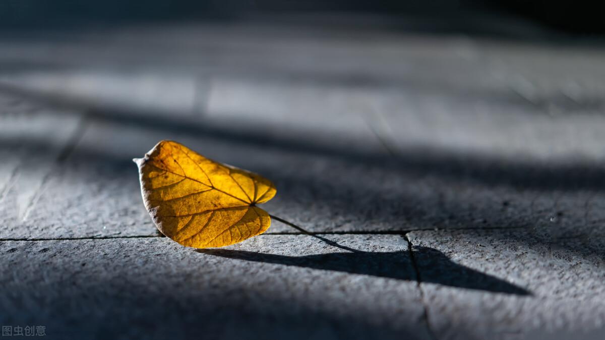 谢谢亲爱的自己(图1)