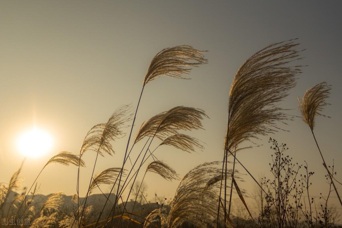 谢谢亲爱的自己(图2)