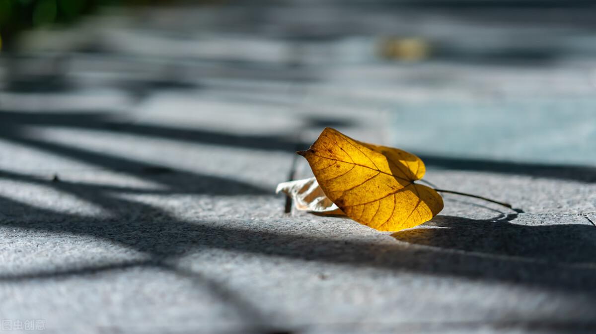 谢谢亲爱的自己(图3)