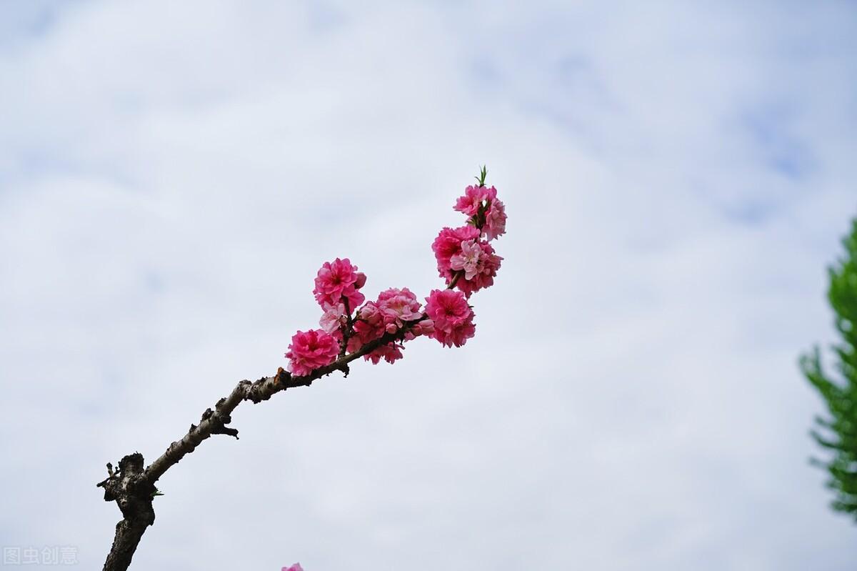 谢谢亲爱的自己(图4)