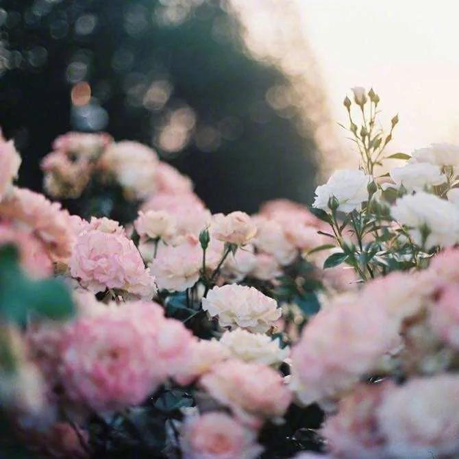 这一年，谢谢自己(图5)