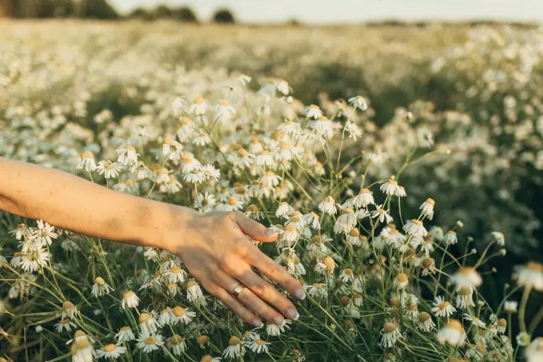感恩岁月，感谢自己(图3)